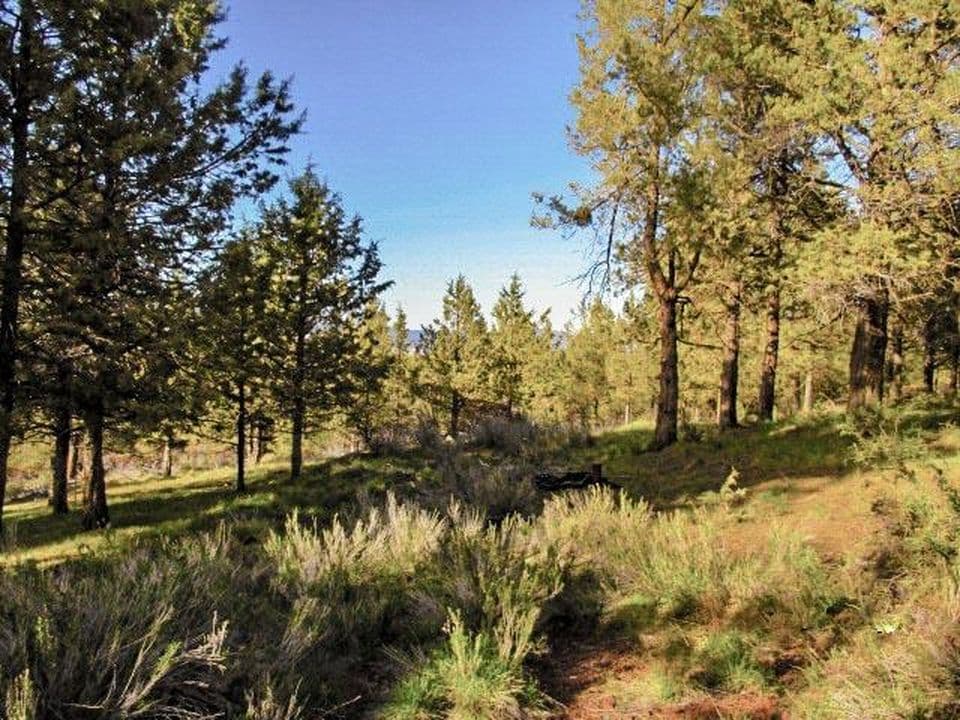 0 Pearson Butte Trl #16, Keno, OR 97627