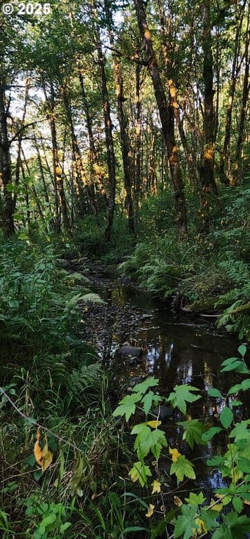 31917 Brooks Rd, Saint Helens, OR 97051