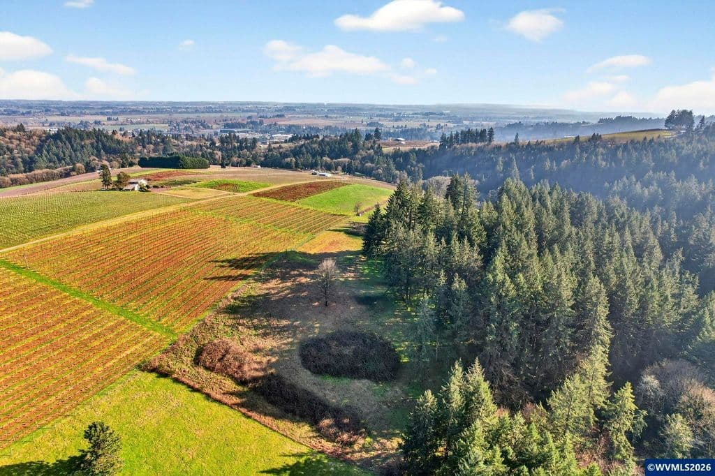 Ta 73066 Ne Fox Ln, Dundee, OR 97115