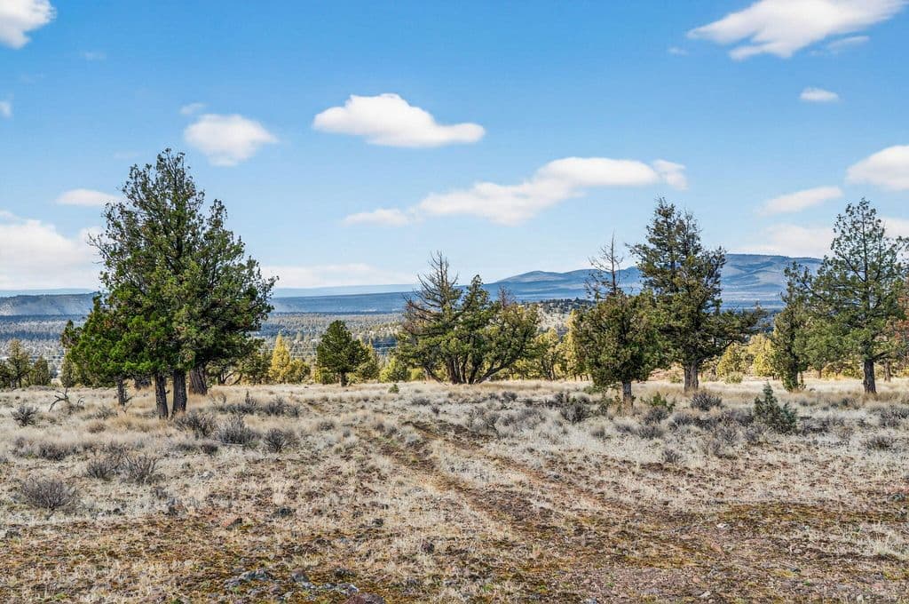 SE Galveston Loop Lot 103, Prineville, OR 97754